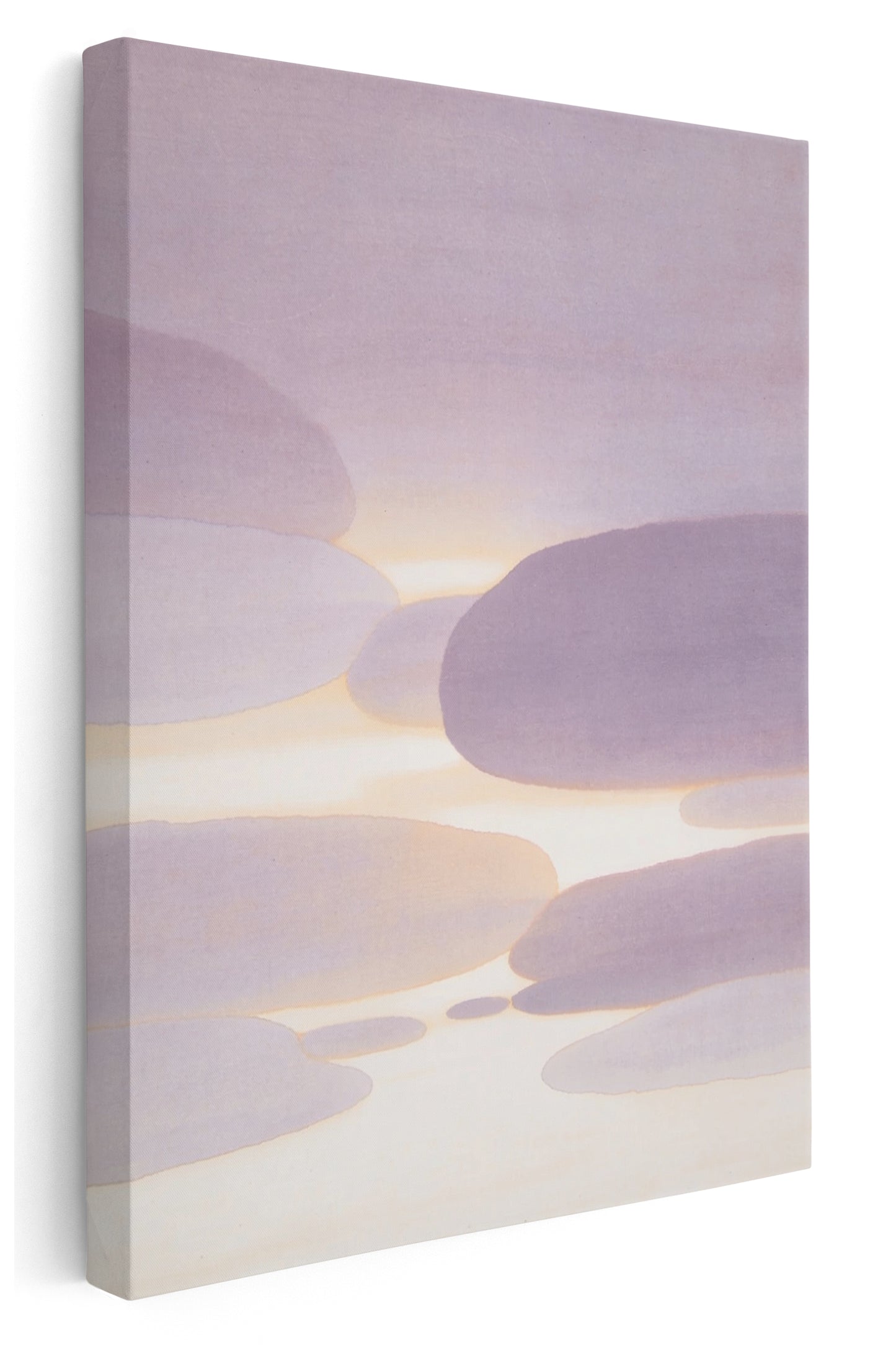 Abstract 21 Canvas Art Print  - Framed Picture
